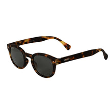 Load image into Gallery viewer, Ziv - Tortoise Rubber / Smoke