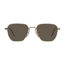 Load image into Gallery viewer, Oxy - Gold / Brown