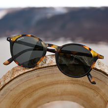 Load image into Gallery viewer, Zion - Tortoise Rubber / Smoke