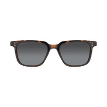 Load image into Gallery viewer, Teye - tortoise / Light Smoke