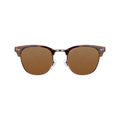 Pukka (M) - Tortoise / Brown