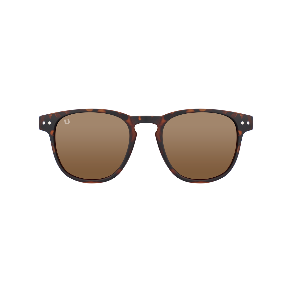 Foxy - Tortoise / Brown