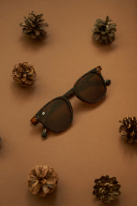 Foxy - Tortoise / Brown