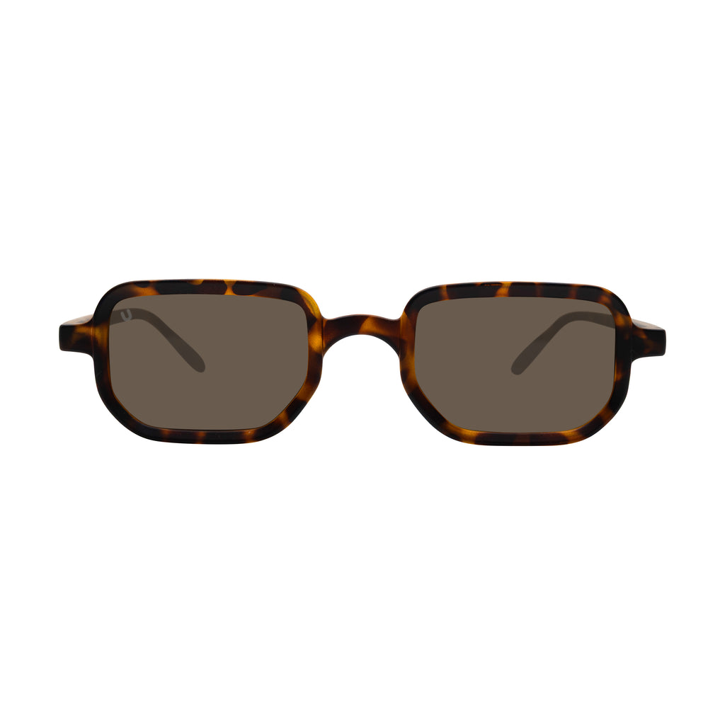 Sasa - Tortoise / Brown