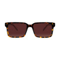 Togo - Tortoise / Gradient Brown