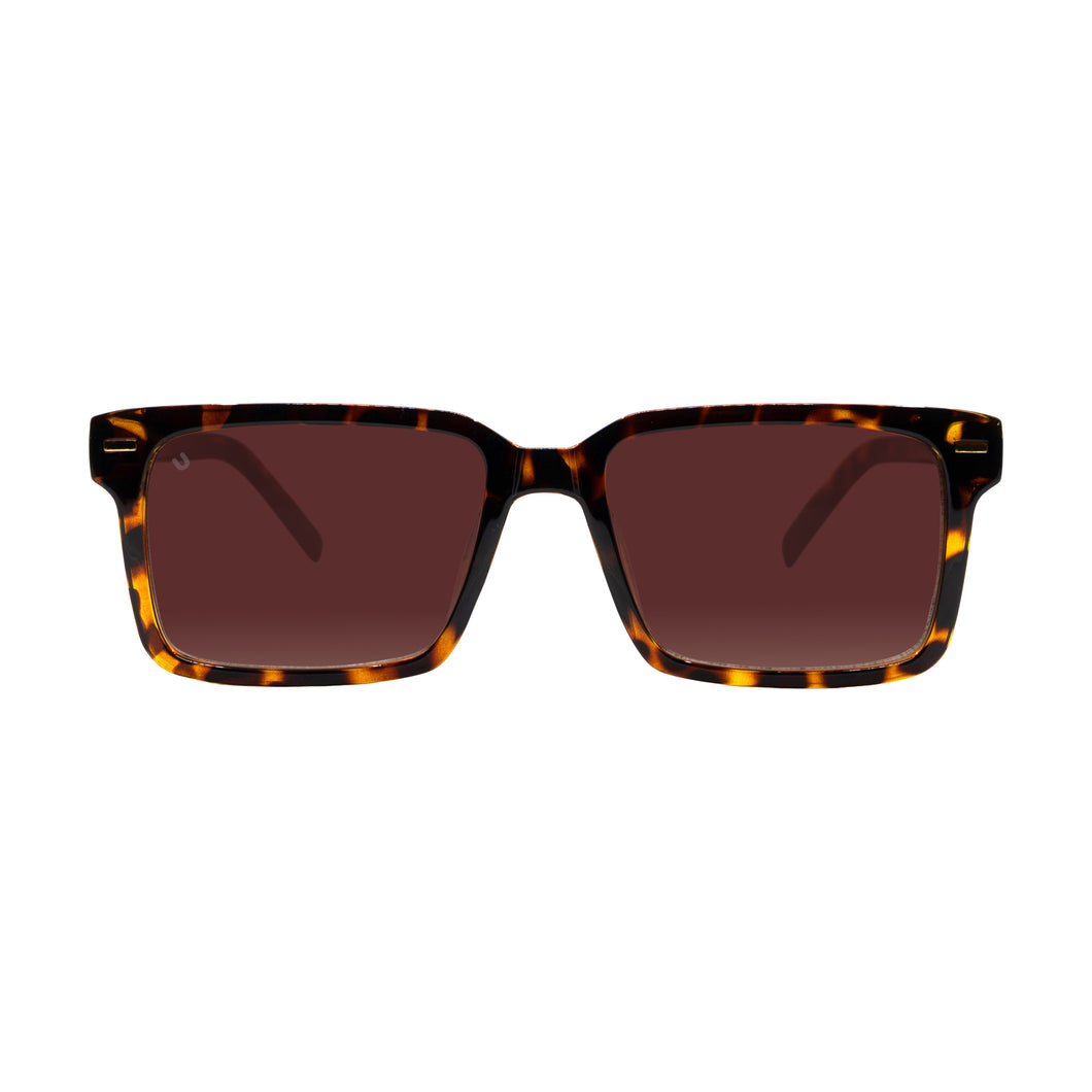 Togo - Tortoise / Gradient Brown