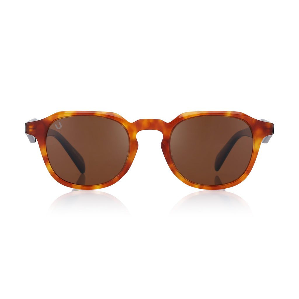 Pedro - Green Tortoise / Brown