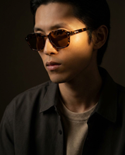 Load image into Gallery viewer, Glare - Tortoise / Brown
