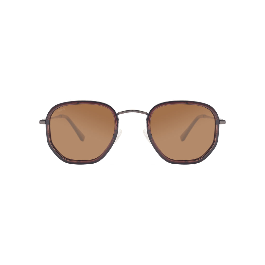 Avi - Matt Brown / Brown
