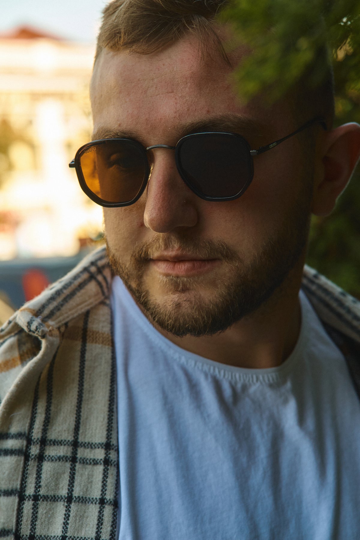 Avi - Matt Brown / Brown