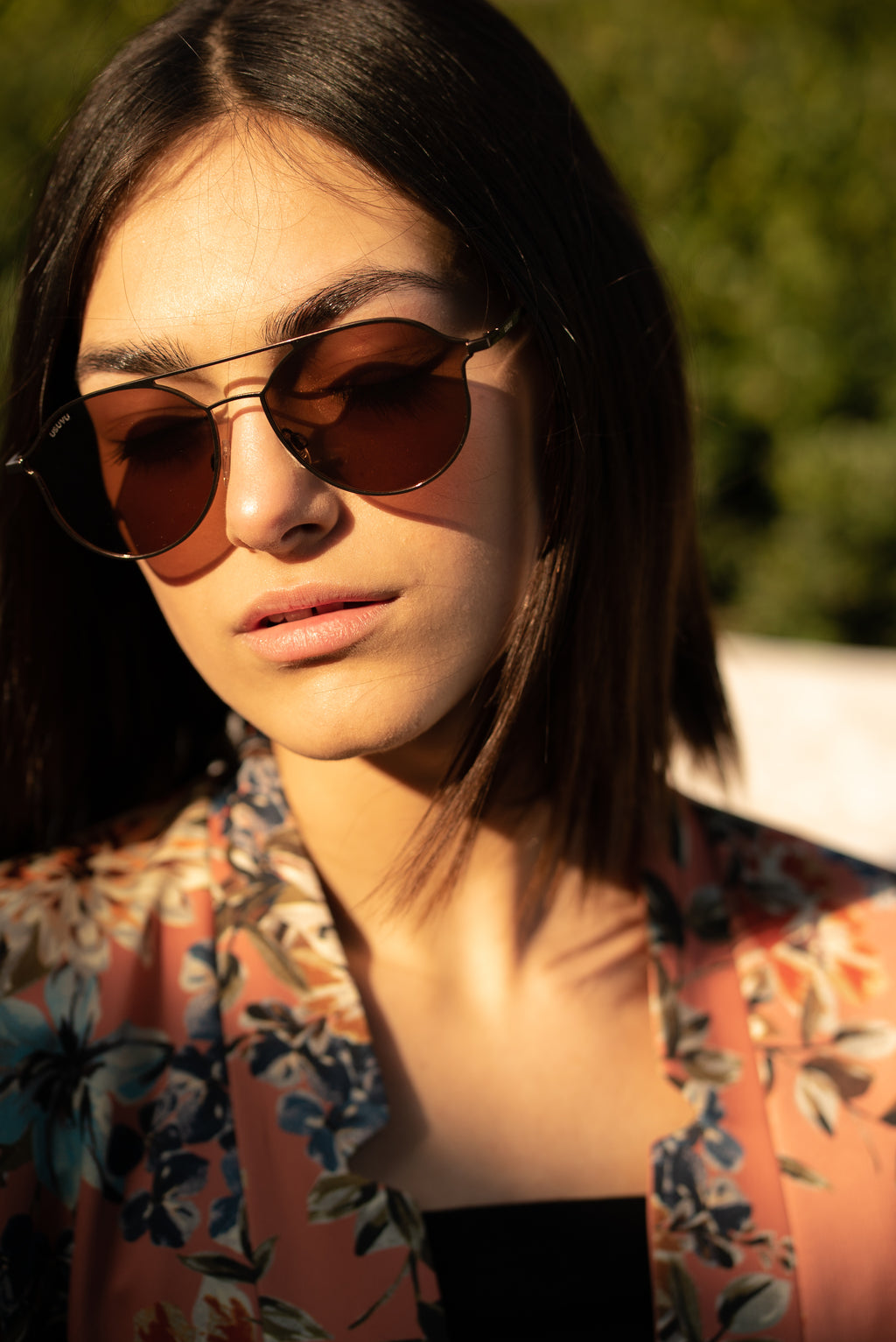 Domo - Tortoise Brown / Brown