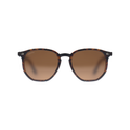 LILY - Tortoise Brown / Brown