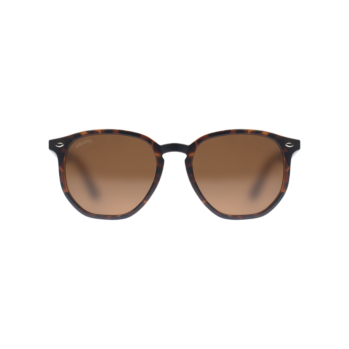 LILY - Tortoise Brown / Brown