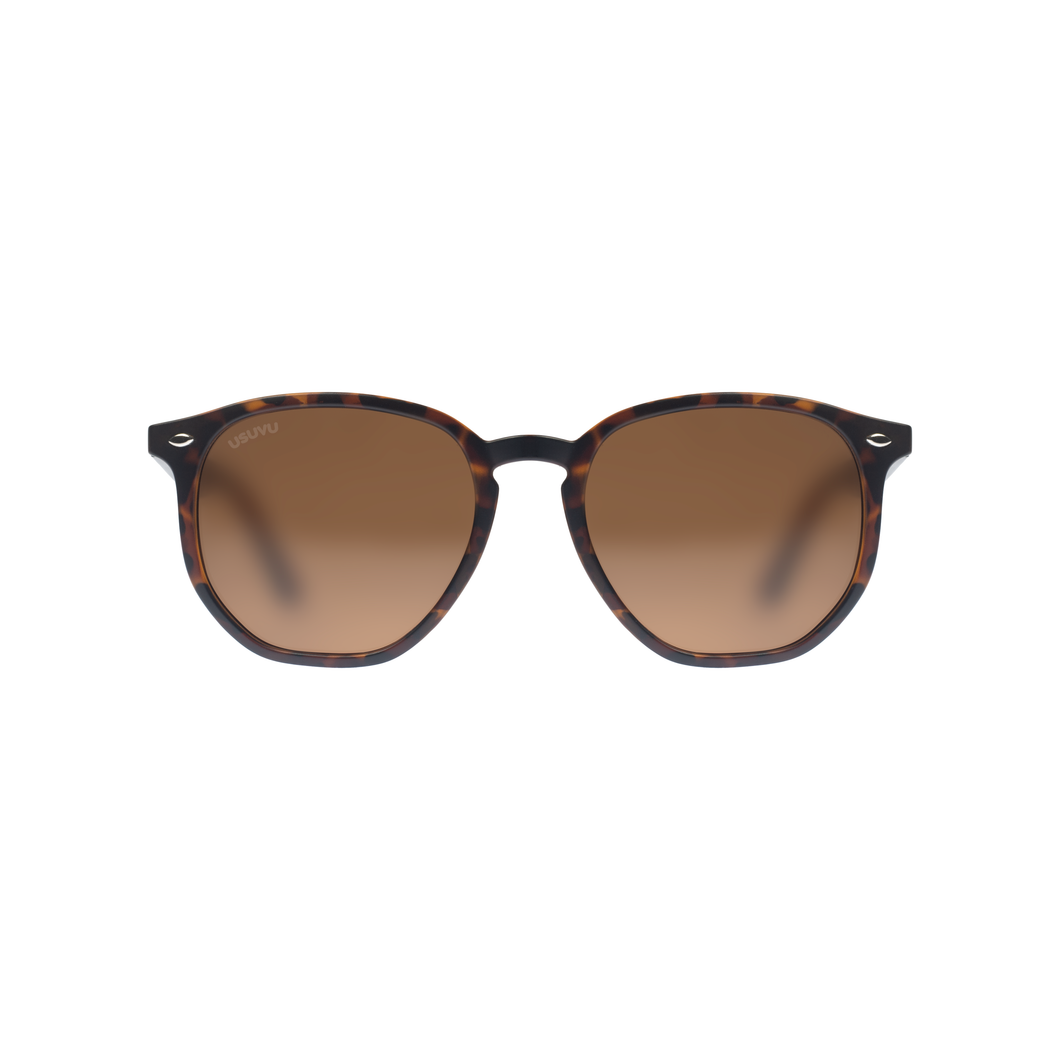 LILY - Tortoise Brown / Brown